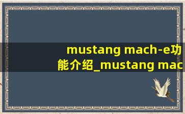 mustang mach-e功能介绍_mustang mach-e